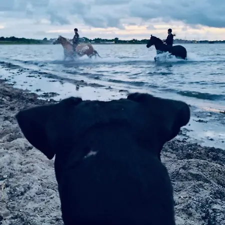 Reihenhaus Geltinger Bucht 度假居 *