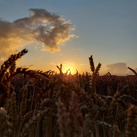 Reihenhaus Geltinger Bucht 度假居 盖尔廷