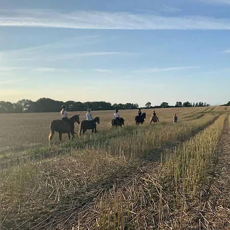 度假居 Reihenhaus Geltinger Bucht