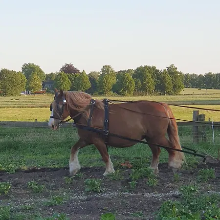 Reihenhaus Geltinger Bucht Casa vacanze Gelting