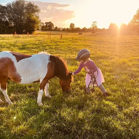 Reihenhaus Geltinger Bucht 度假居 盖尔廷