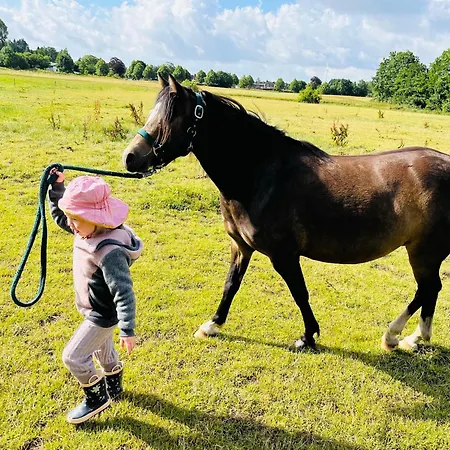 Casa vacanze Reihenhaus Geltinger Bucht
